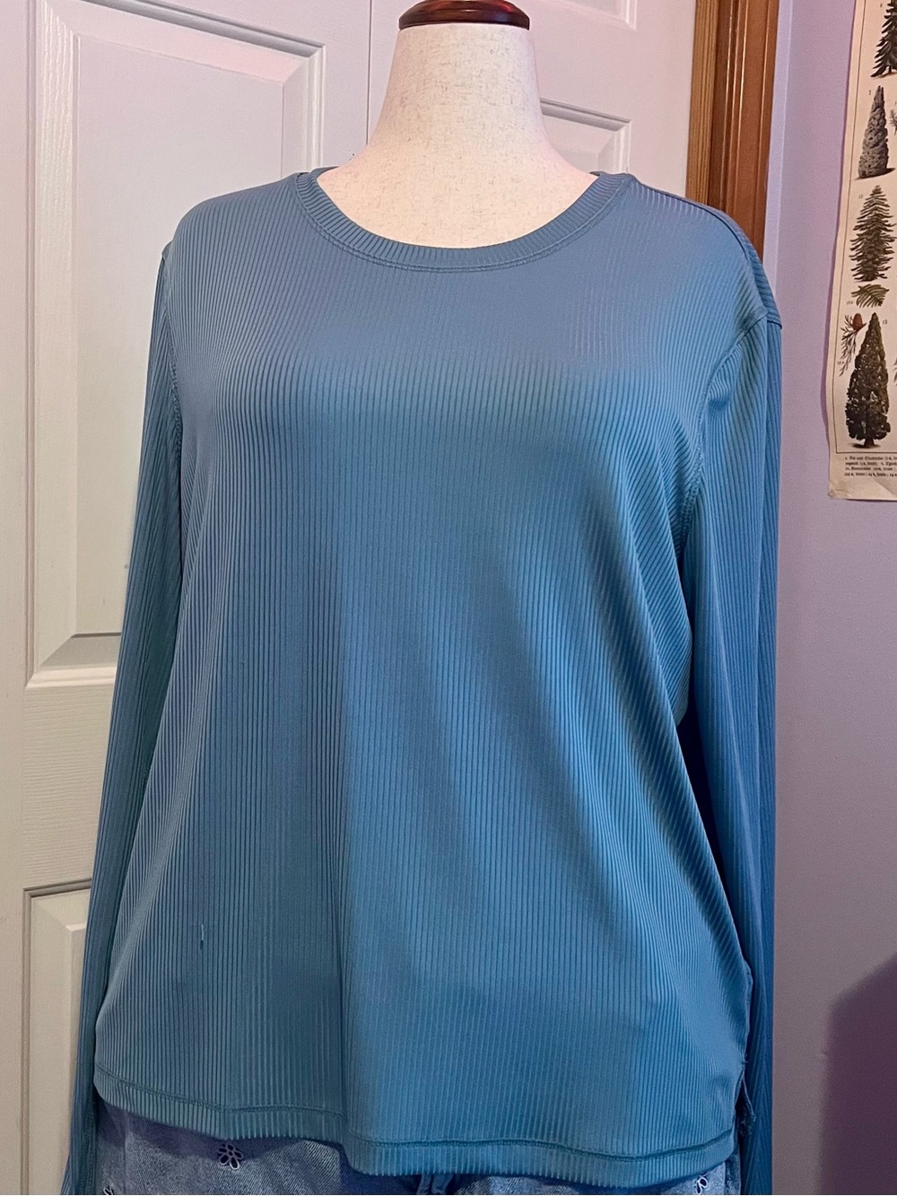 Danskin Ribbed Long Sleeve Crewneck Top in Dusty Blue